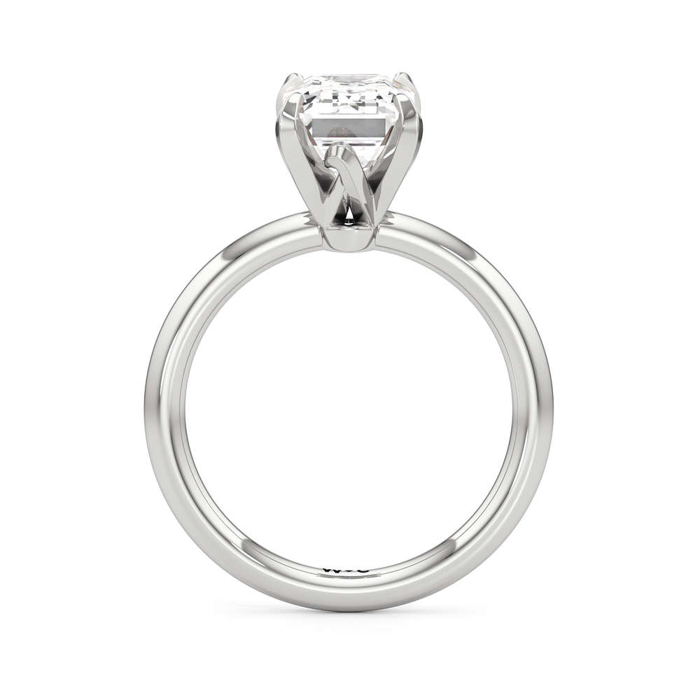 The W Classic Engagement Ring with Emerald Cut Diamond in 14KT Platinum view 2