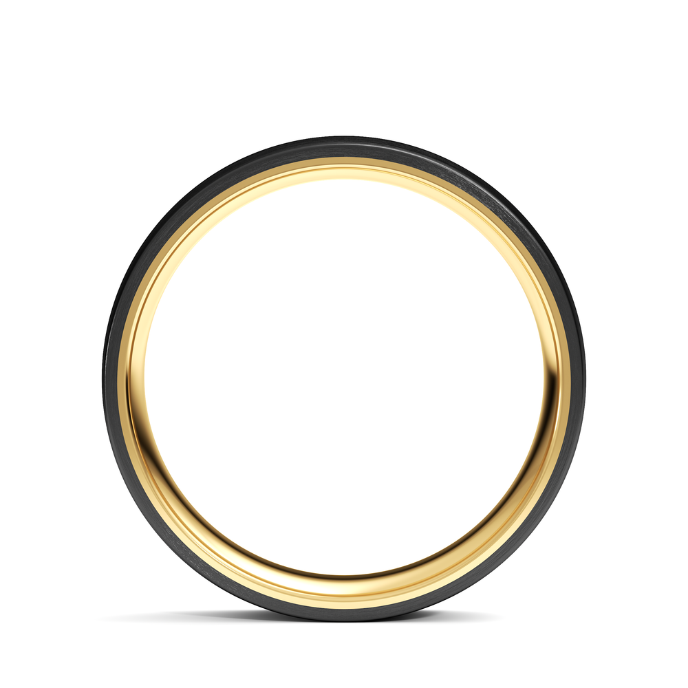 The Monarch Men's Band with Titanium / 11 Cut Diamond in 14KT Titanium / 11 view 2
