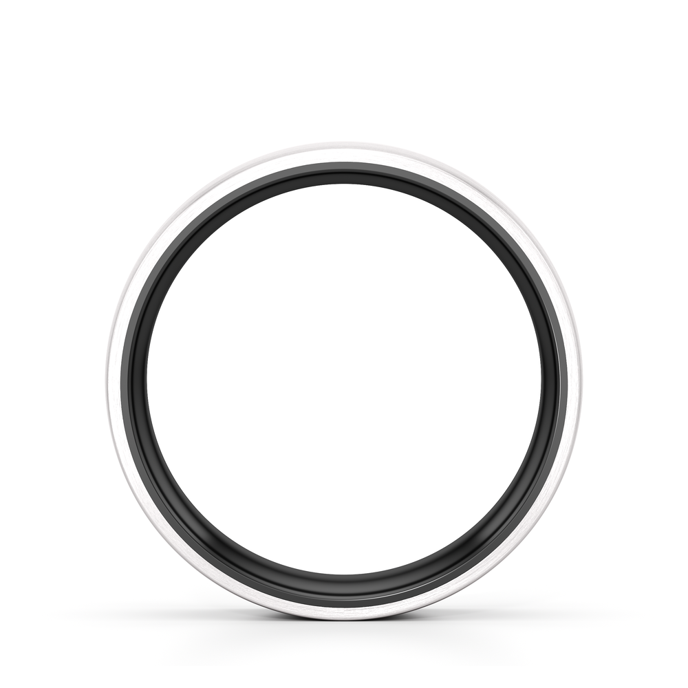 The Onyx Men's Band with Titanium / 10 Cut Diamond in 14KT Titanium / 10 view 2
