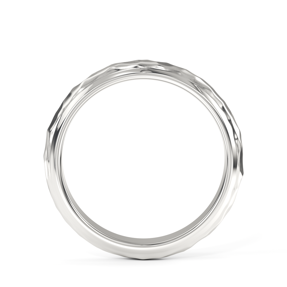The Crest Men's Band with Titanium / 9 Cut Diamond in 14KT Titanium / 9 view 2
