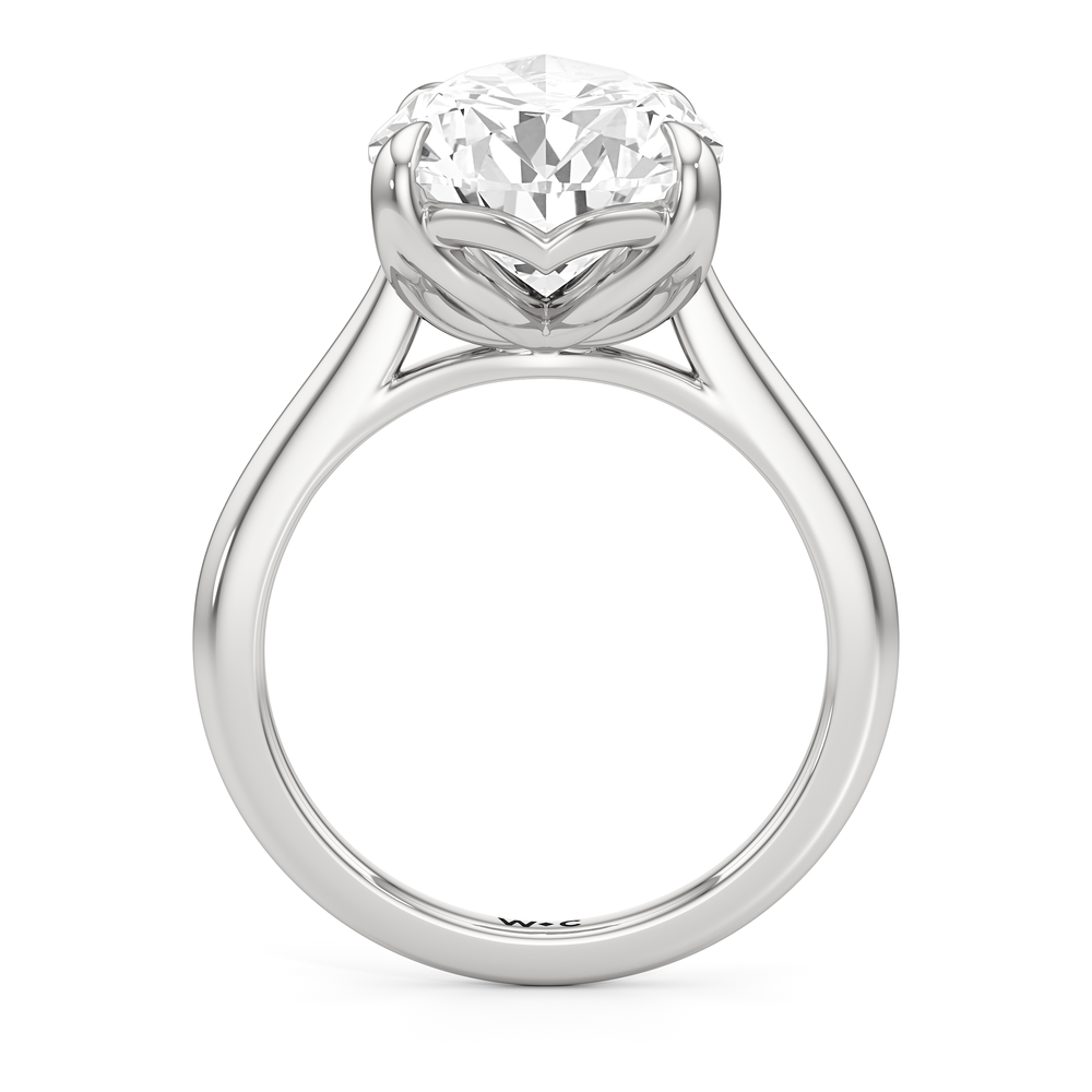 Famed Tulip Cathedral Ring with Pear Cut Diamond in 14KT Platinum view 5
