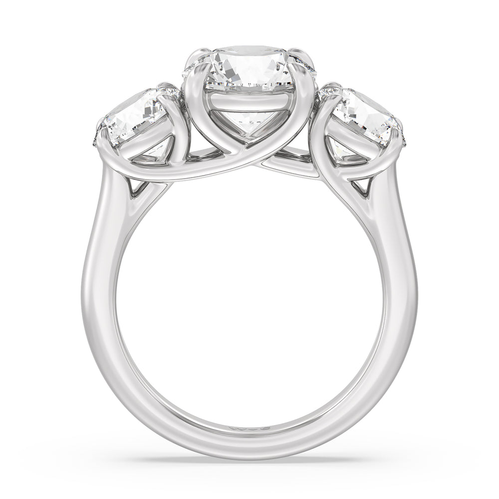 Three Stone Round Brilliant Cut Diamond Ring (F/G SI+) with Platinum / Natural / 5 Cut Diamond in 14KT Platinum / Natural / 5 view 2
