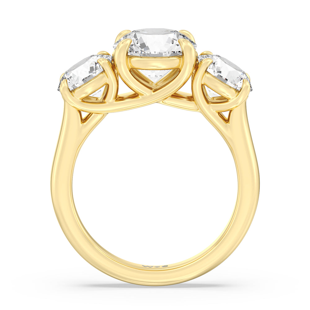 Three Stone Round Brilliant Cut Diamond Ring (F/G SI+) with 18KT Yellow Gold / Natural / 5 Cut Diamond in 14KT Yellow Gold / Natural / 5 view 2
