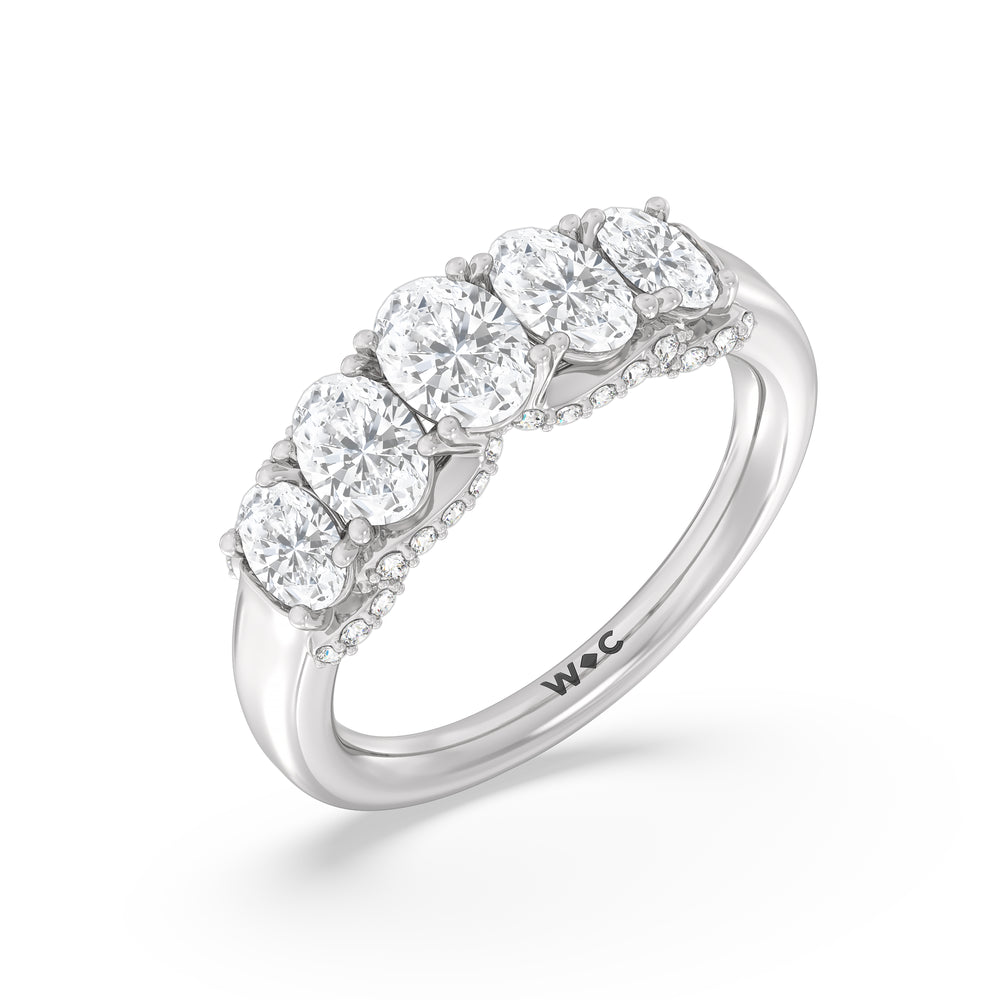 Five Stone The Regal Anniversary Ring with Platinum / Natural / 2 Cut Diamond in 14KT Platinum / Natural / 2 view 5
