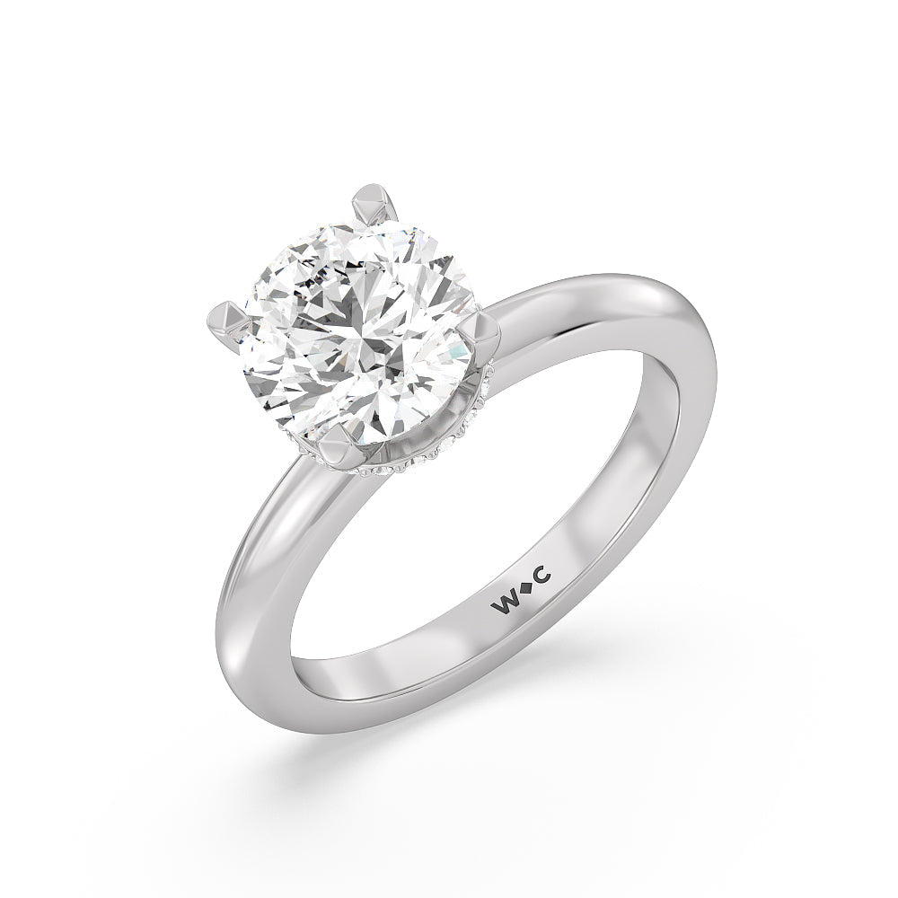 Modern Fine Line Hidden Halo Engagement Ring with Round Cut Diamond in 14KT Platinum view 3
