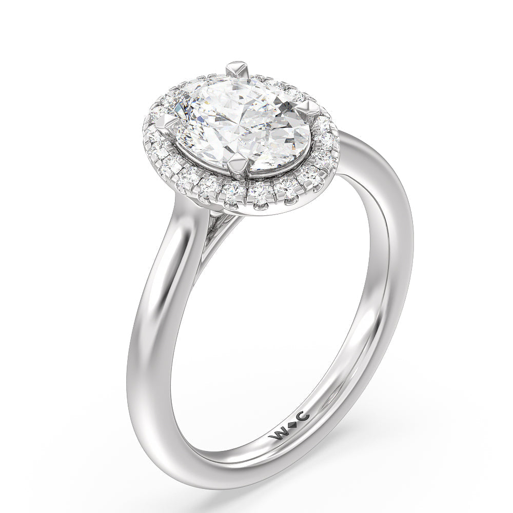 Cathedral Halo Engagement Ring with Oval Cut Diamond in 14KT Platinum view 3
