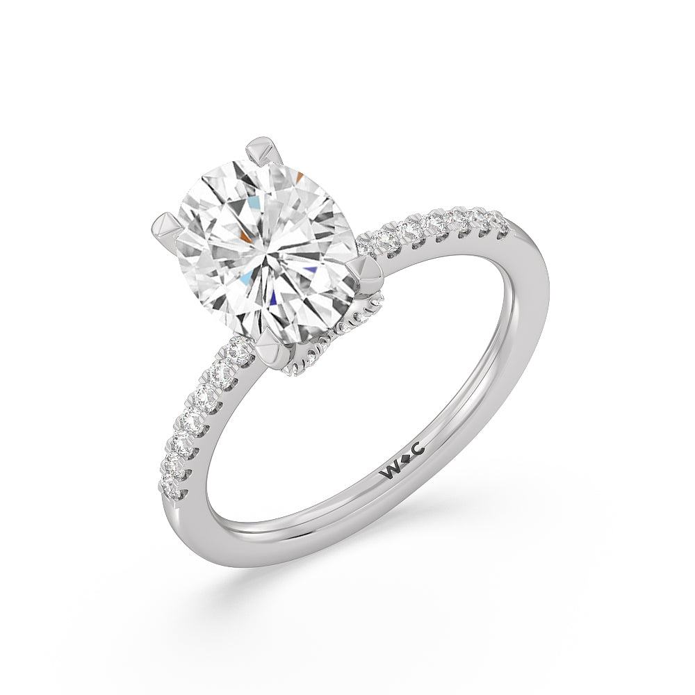 Oval Cut Arc Hidden Halo Engagement Ring (1/4 ct. tw.) with Lab Grown Diamond in 14KT Platinum view 3
