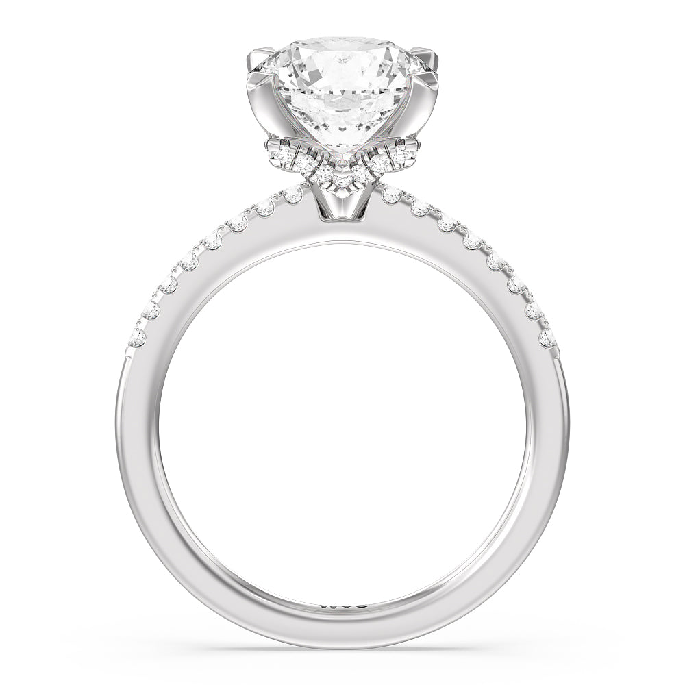 Round Cut Arc Hidden Halo Engagement Ring (1/4 ct. tw.) with Lab Grown Diamond in 14KT Platinum view 2
