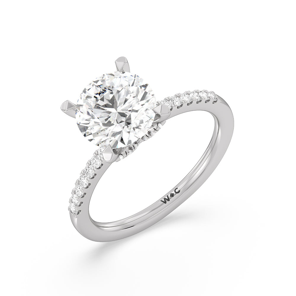 Round Cut Arc Hidden Halo Engagement Ring  (E+ VVS+) with Lab Grown Diamond in 14KT Platinum view 3
