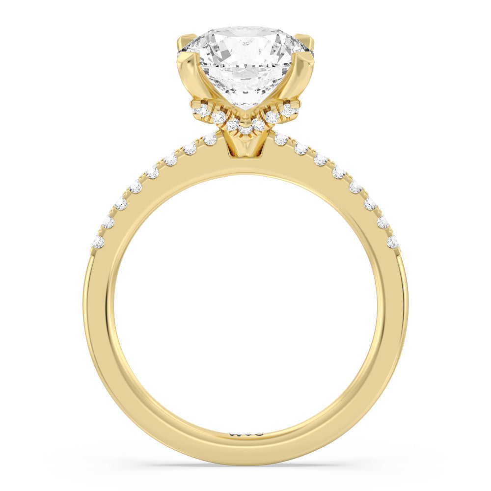 Round Cut Arc Hidden Halo Engagement Ring (1/4 ct. tw.) with Lab Grown Diamond in 14KT Yellow Gold view 2
