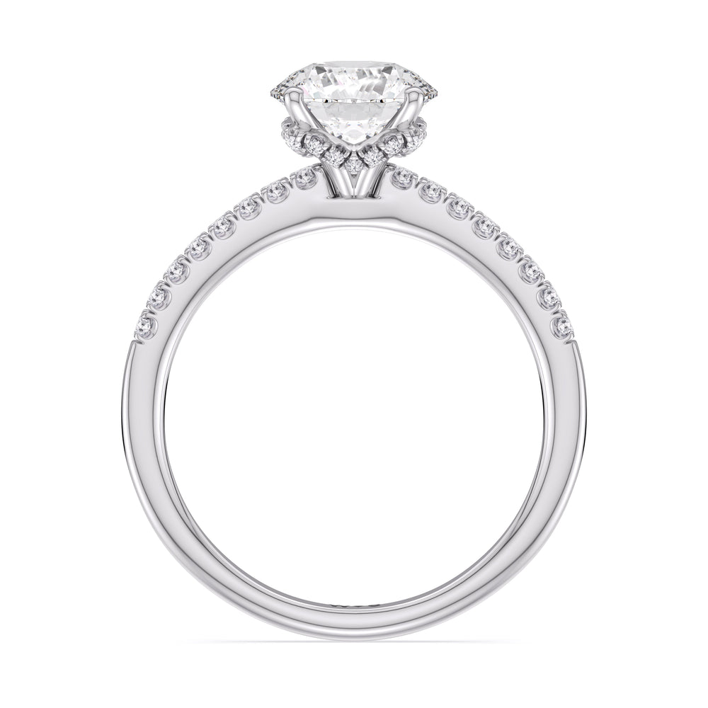 Arc Hidden Halo Engagement Ring with Round Cut Diamond in 14KT Platinum view 6
