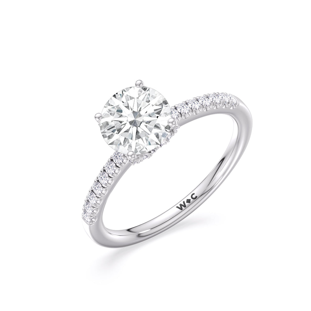 Arc Hidden Halo Engagement Ring with Round Cut Diamond in 14KT Platinum view 7
