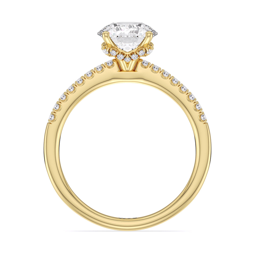 Arc Hidden Halo Engagement Ring with Round Cut Diamond in 14KT Yellow Gold view 6
