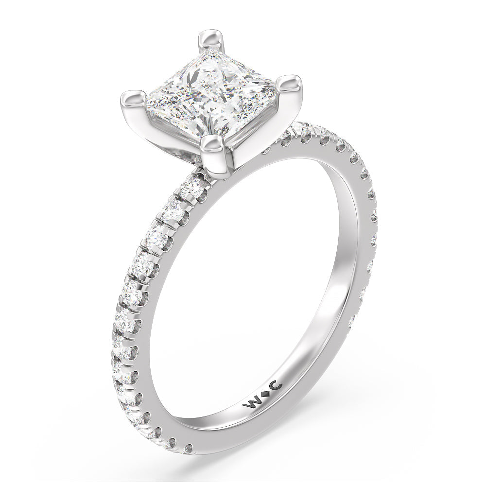 Ara Medi Traditional Pave Diamond Engagement Ring with Princess Cut Diamond in 14KT Platinum view 3
