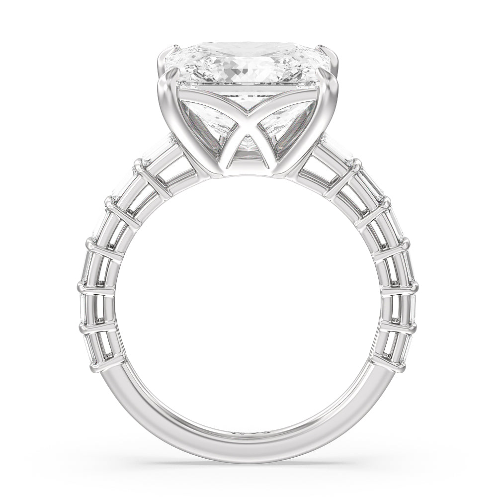 Elegance Two Row Baguette Studded Engagement Ring with Princess Cut Diamond in 14KT Platinum view 6
