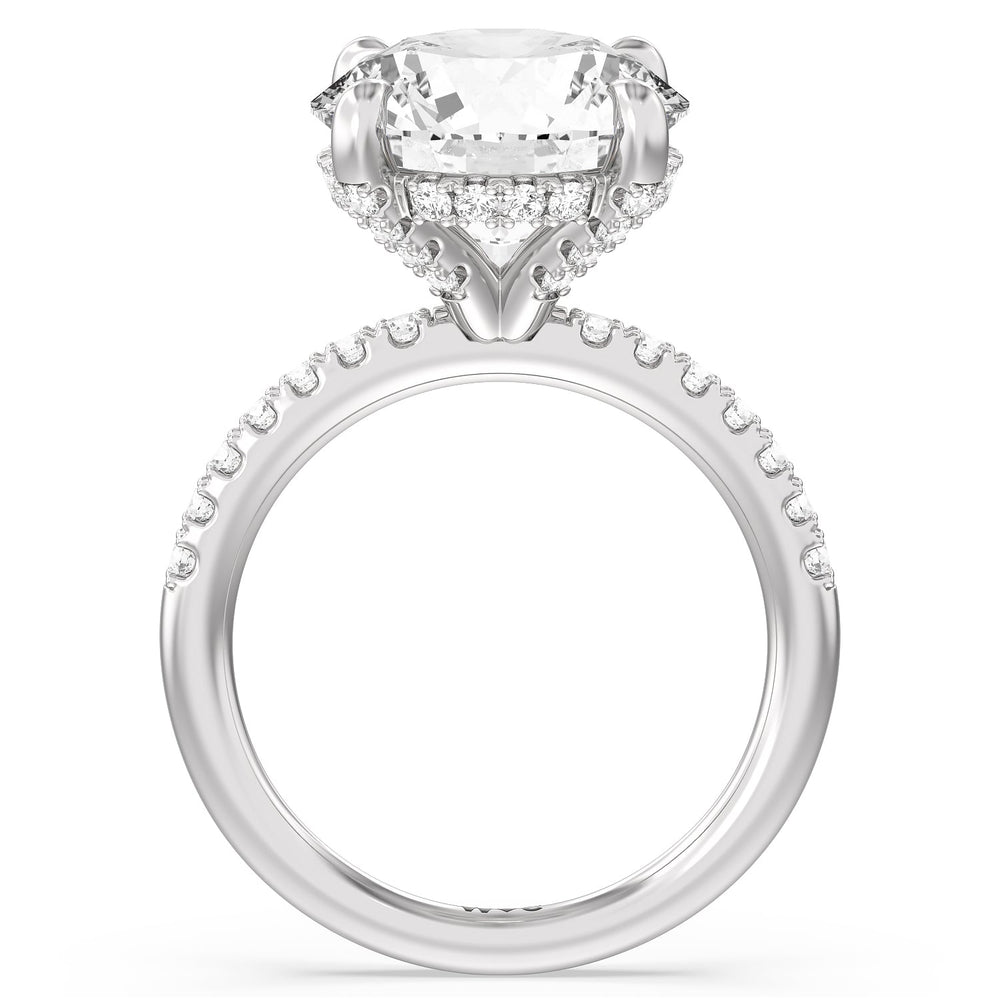 Noble Studded Hidden Halo Ring with Round Cut Diamond in 14KT Platinum view 2
