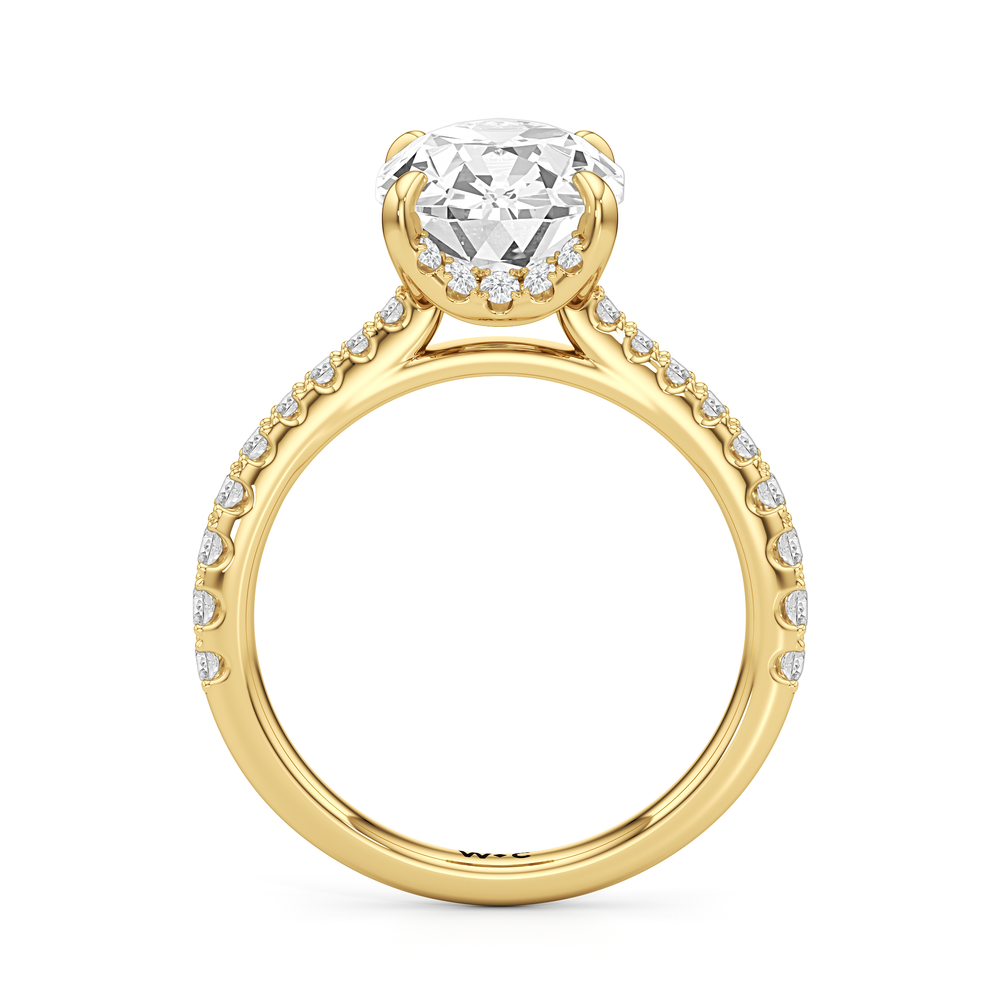 Antique Cushion Cut The Cassatt Ring with Lab Grown Diamond in 14KT Yellow Gold view 4
