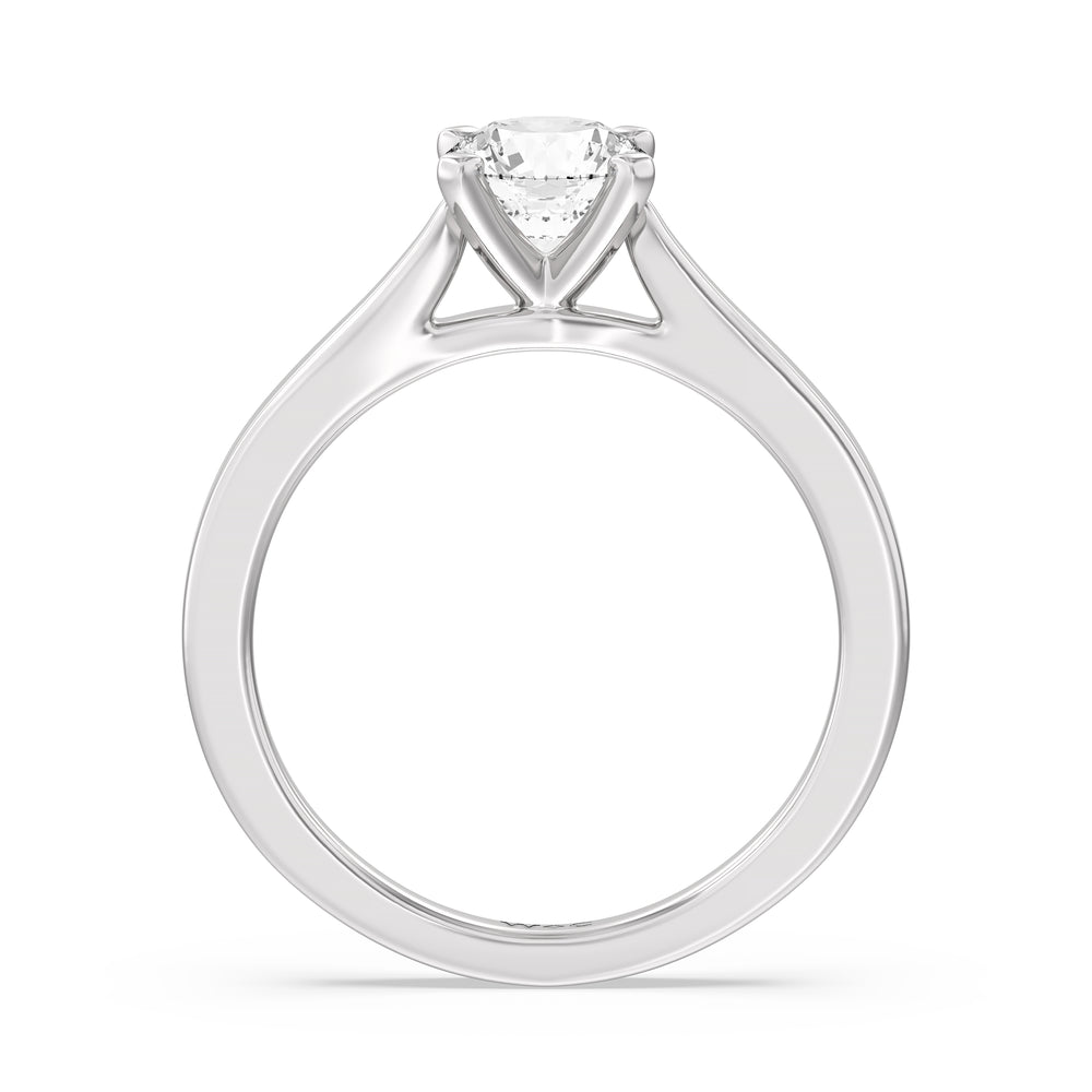 The Bridget Engagement Ring with Round Cut Diamond in 14KT Platinum view 2
