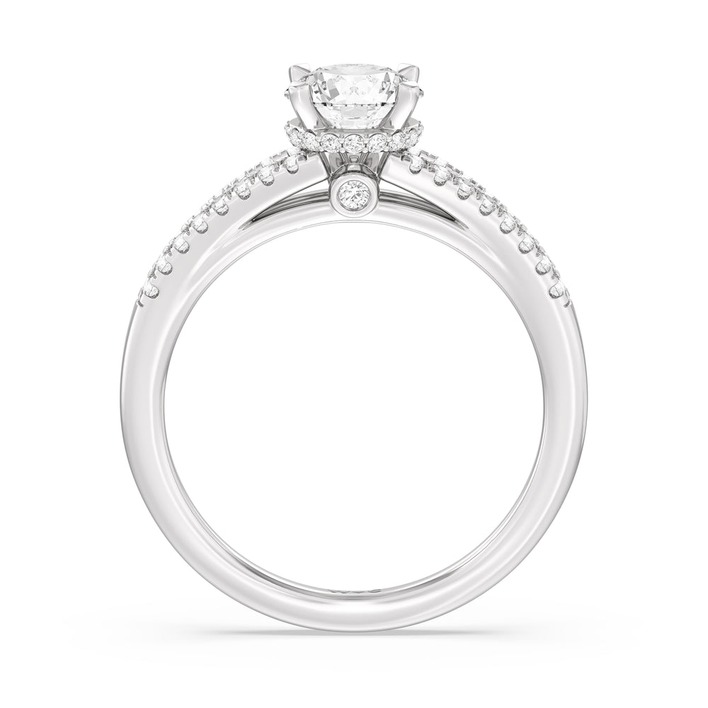 The Zoe Engagement Ring with Round Cut Diamond in 14KT Platinum view 2
