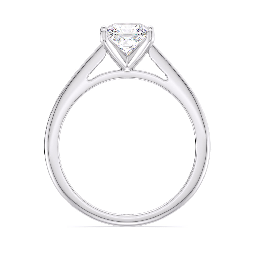 Fine Tapered Cathedral Solitaire Engagement Ring with Princess Cut Diamond in 14KT Platinum view 2
