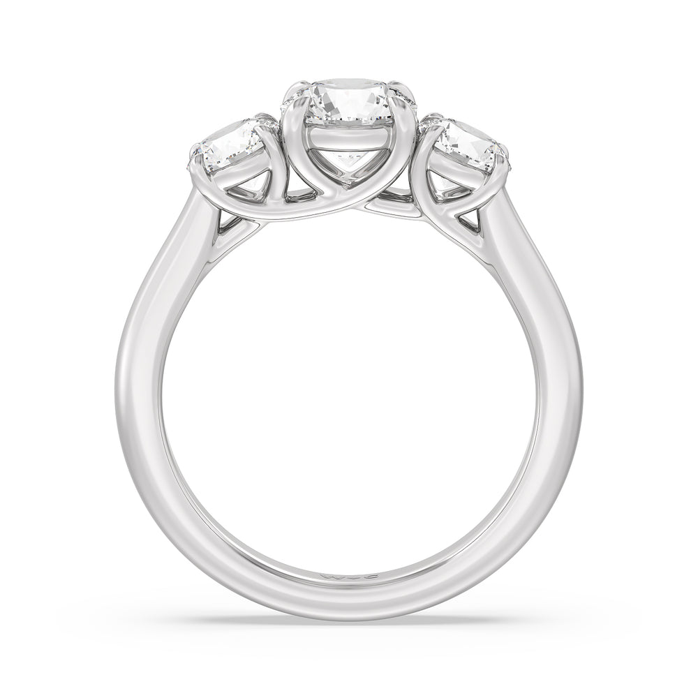 Three Stone Round Brilliant Cut Diamond Ring (F/G SI+) with Platinum / Natural / 2 Cut Diamond in 14KT Platinum / Natural / 2 view 2
