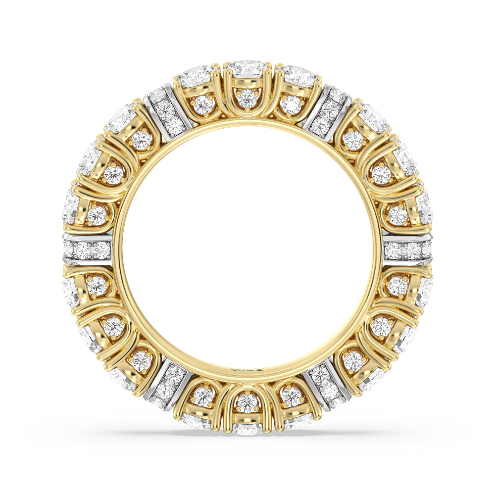 The United Nations Eternity Ring with 18KT White & Yellow Gold / Natural / 4 1/4 Cut Diamond in 14KT White & Yellow Gold / Natural / 4 1/4 view 2
