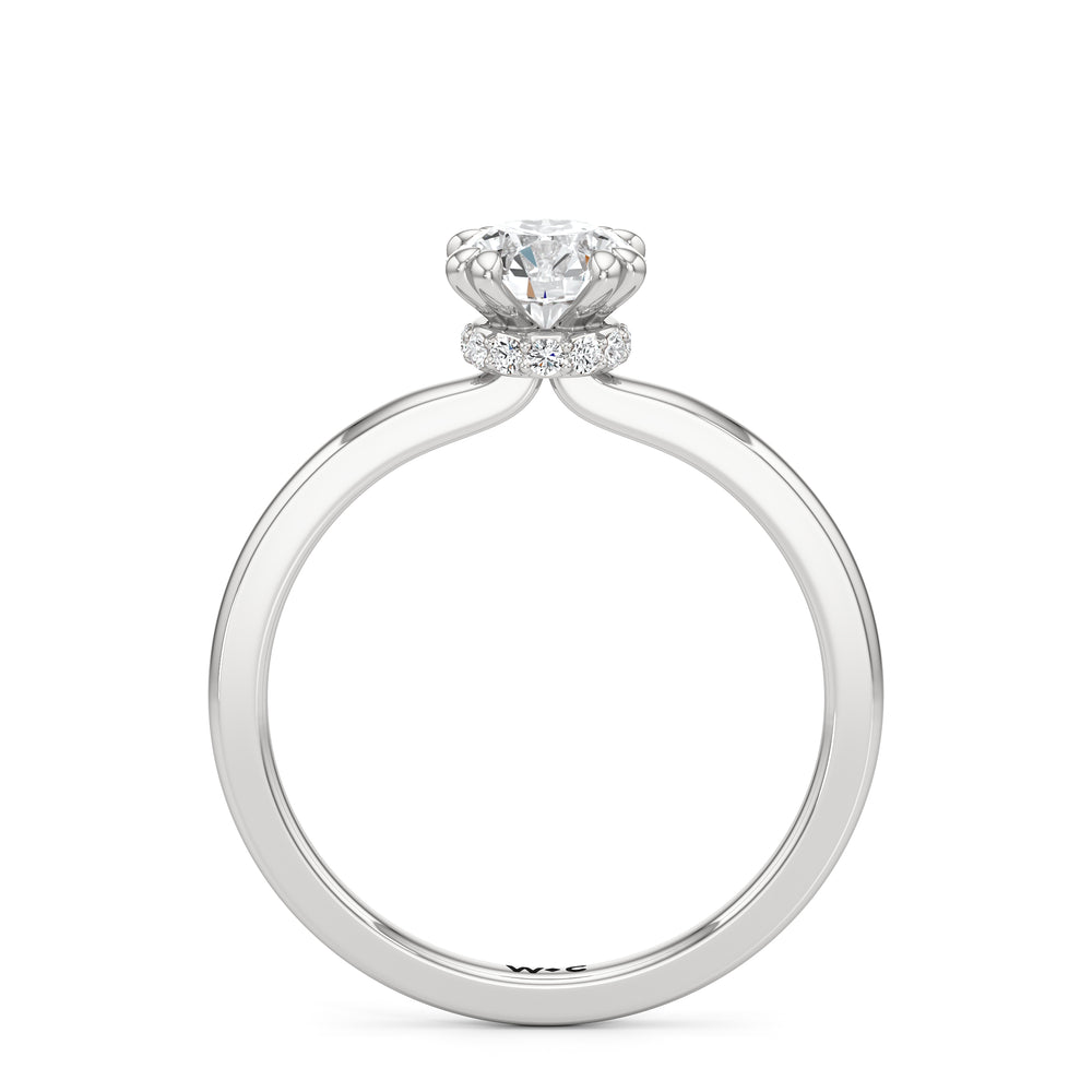 The Faye Engagement Ring with Round Cut Diamond in 14KT Platinum view 2
