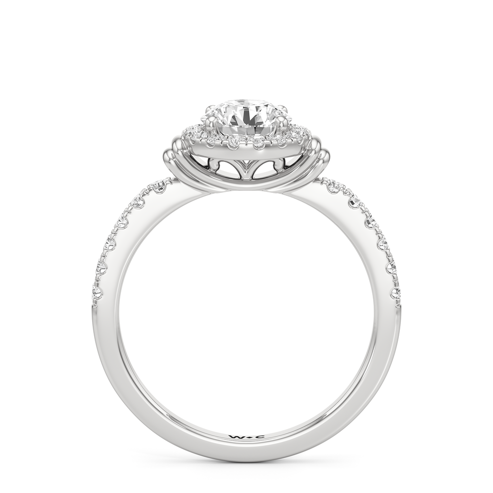 The Ayla Engagement Ring with Round Cut Diamond in 14KT Platinum view 2
