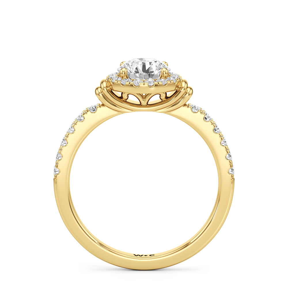The Ayla Engagement Ring with Round Cut Diamond in 14KT Yellow Gold view 2
