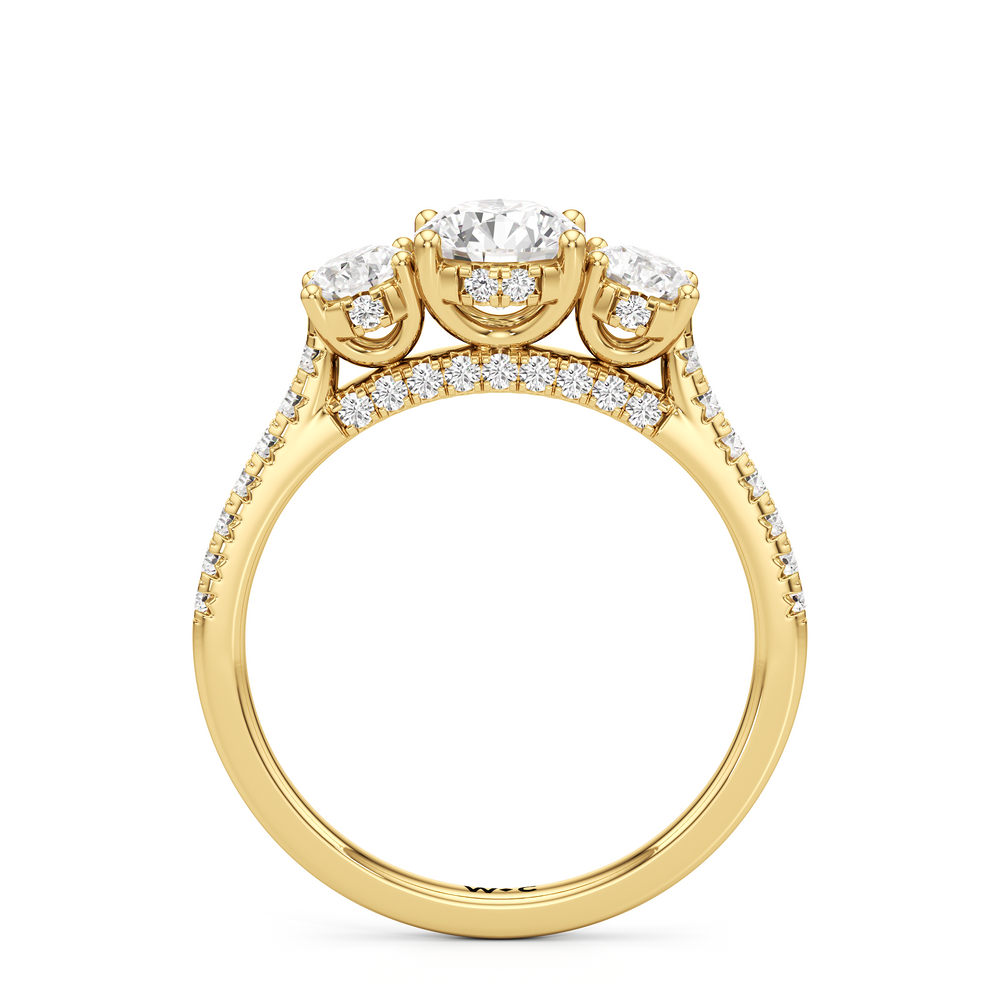 The Abgail Engagement Ring with Round Cut Diamond in 14KT Yellow Gold view 2
