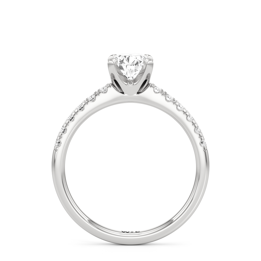 The Isabel Engagement Ring with Round Cut Diamond in 14KT Platinum view 2
