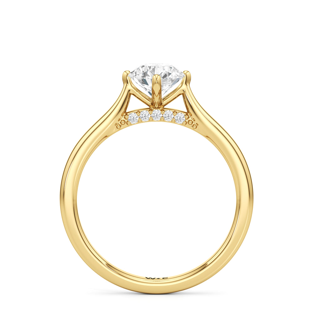 The Frankie Engagement Ring with Round Cut Diamond in 14KT Yellow Gold view 2
