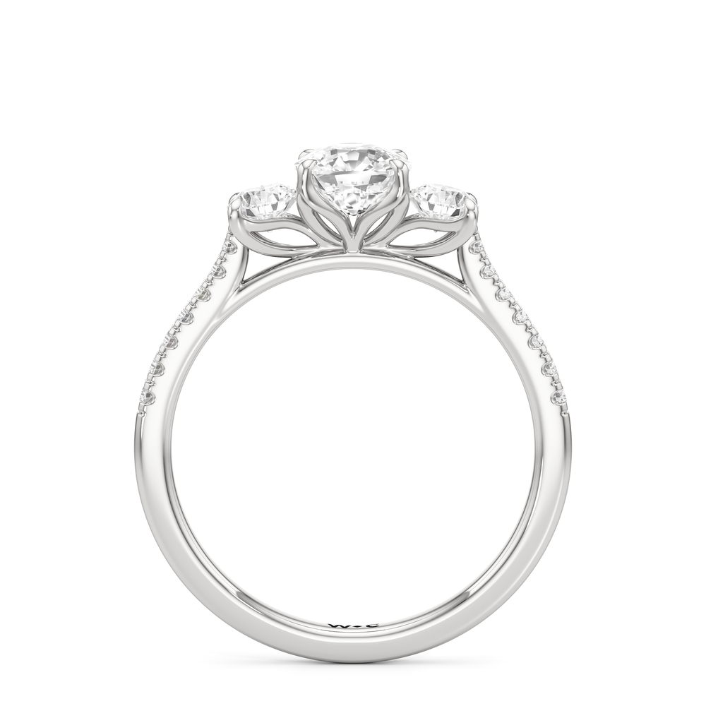 The Hayden Engagement Ring with Cushion Cut Diamond in 14KT Platinum view 2
