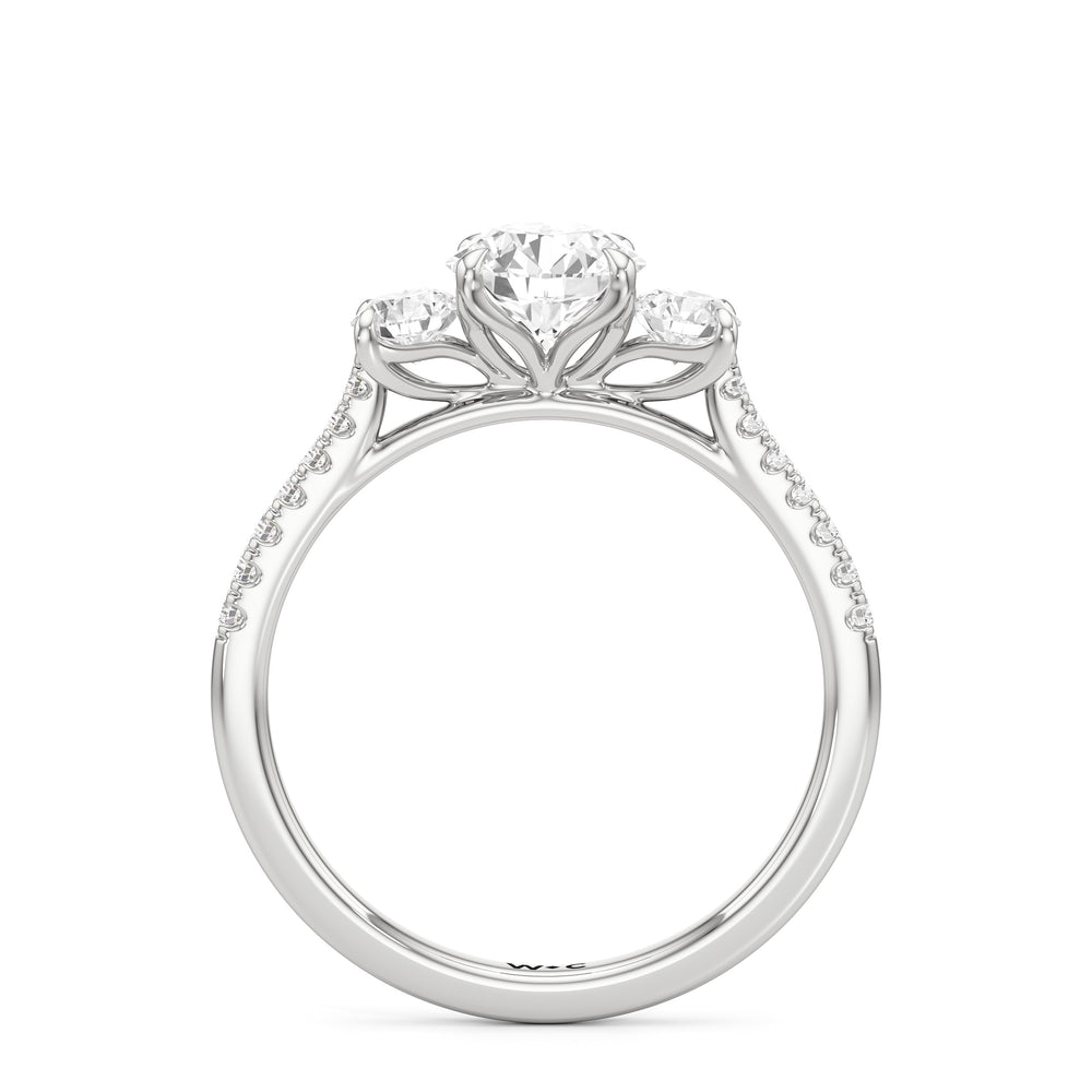 The Hayden Engagement Ring with Round Cut Diamond in 14KT Platinum view 2
