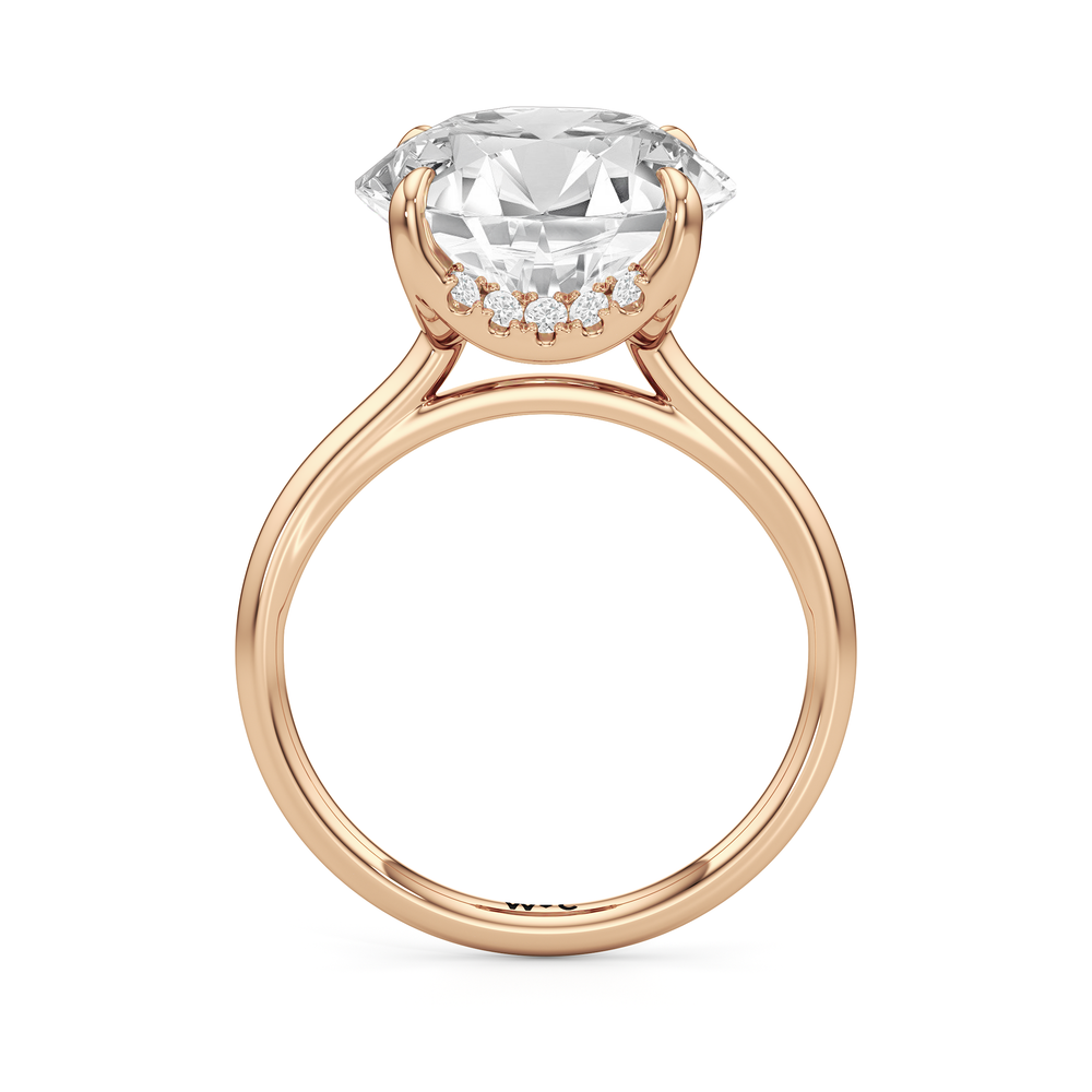 The Cassatt Solitaire Engagement Ring with Round Cut Diamond in 14KT Rose Gold view 5
