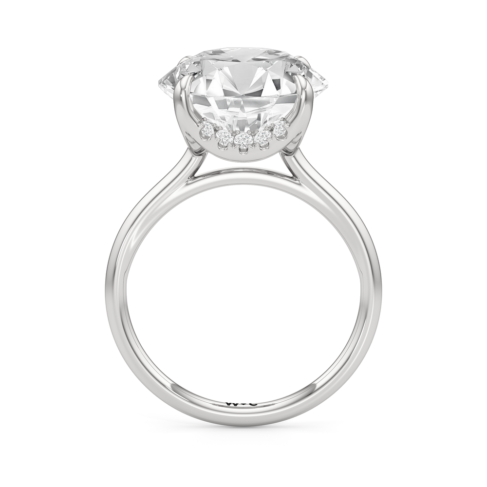 The Cassatt Solitaire Engagement Ring with Round Cut Diamond in 14KT Platinum view 5
