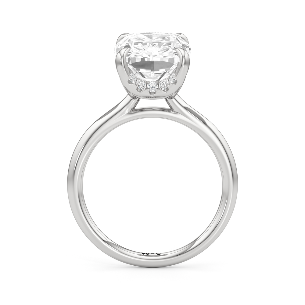 The Atrium Solitaire Engagement Ring with Elongated Cushion Cut Diamond in 14KT Platinum view 3
