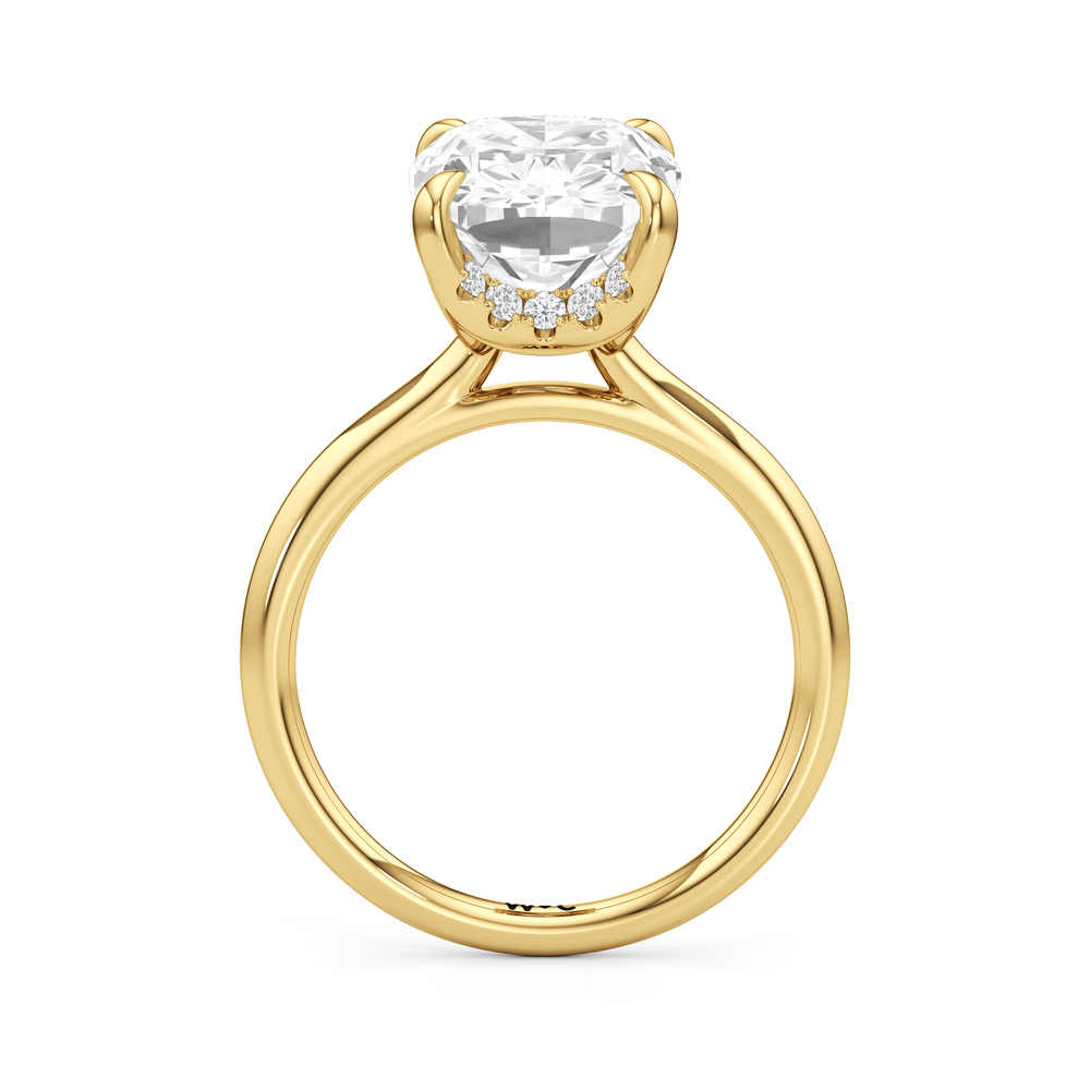 The Cassatt Solitaire Engagement Ring with Elongated Cushion Cut Diamond in 14KT Yellow Gold view 5
