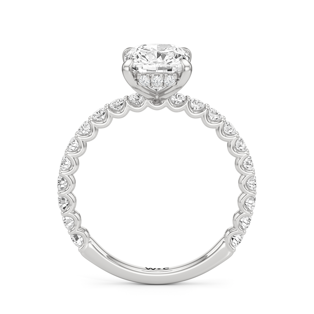 The Arc Classic Engagement Ring with Elongated Cushion Cut Diamond in 14KT Platinum view 5
