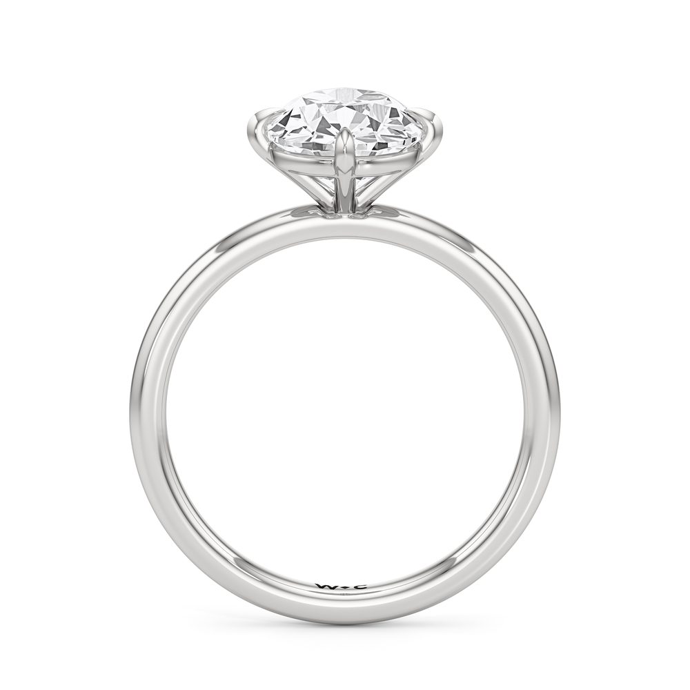 Antique Cushion Cut Aster Engagement Ring with Lab Grown Diamond in 14KT Platinum view 4
