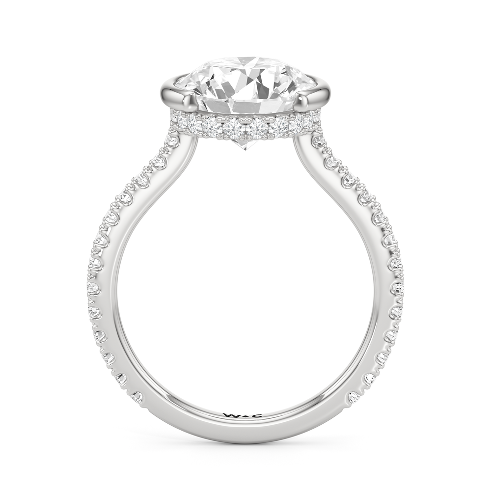 Half Bezel Low-Profile Engagement Ring with Round Cut Diamond in 14KT Platinum view 5
