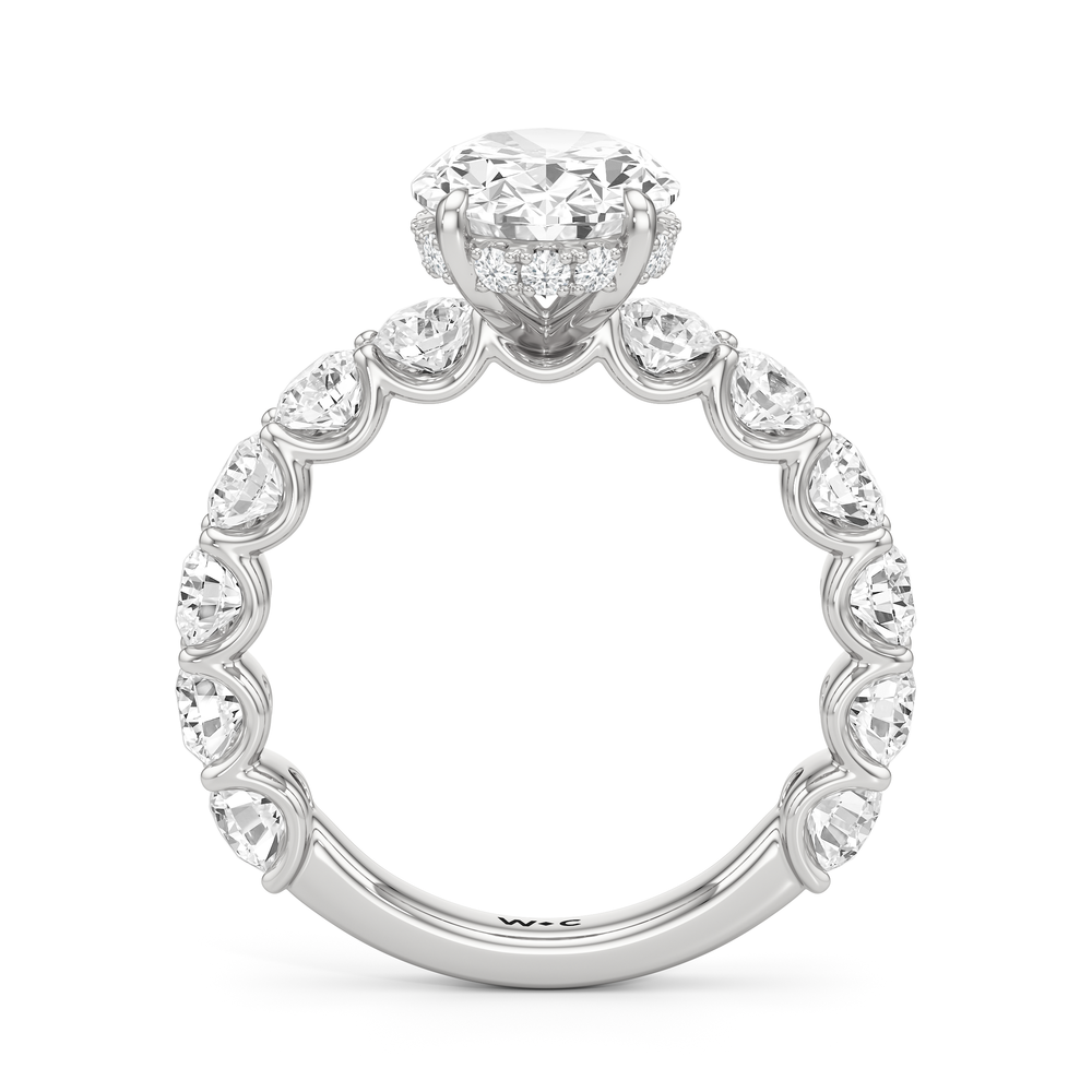 The Arc Grand Ring with Oval Cut Diamond in 14KT Platinum view 4
