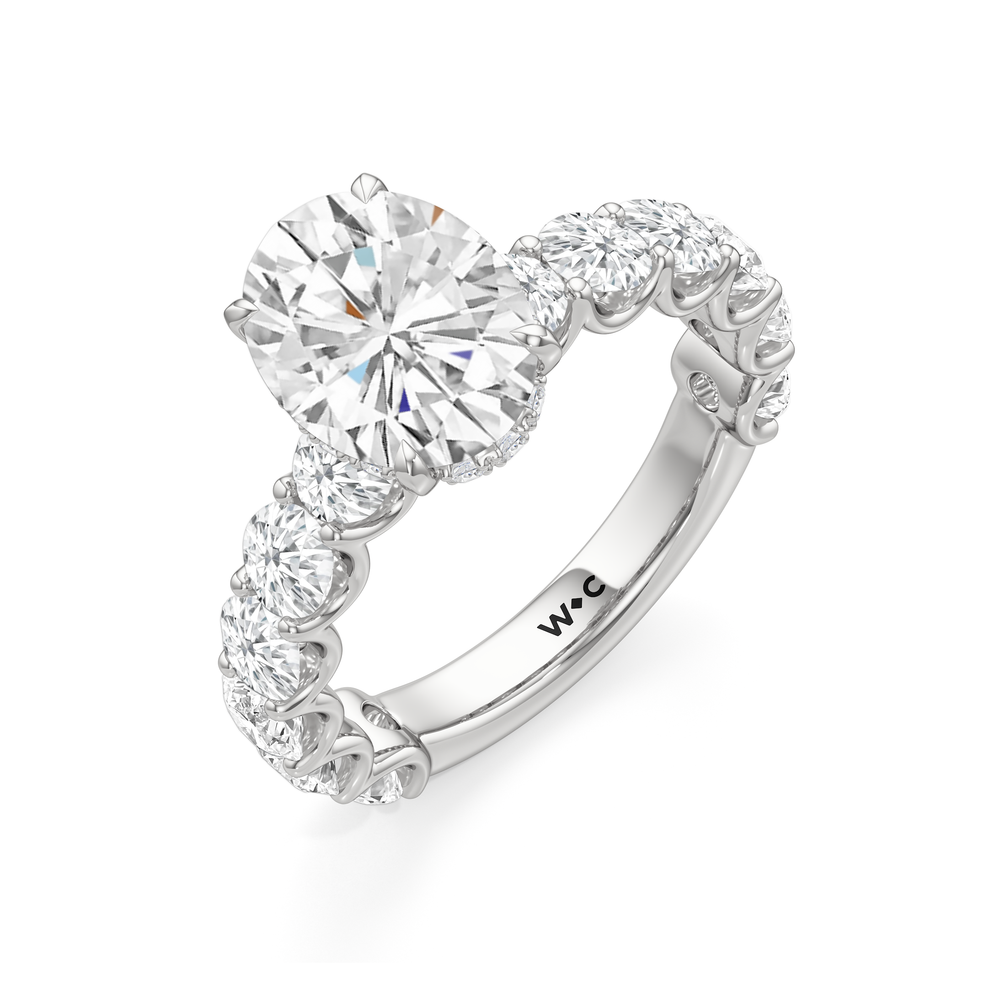 The Arc Grand Ring with Oval Cut Diamond in 14KT Platinum view 5
