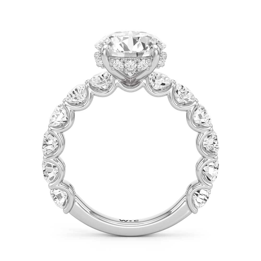 The Arc Grand Ring with Round Cut Diamond in 14KT Platinum view 4

