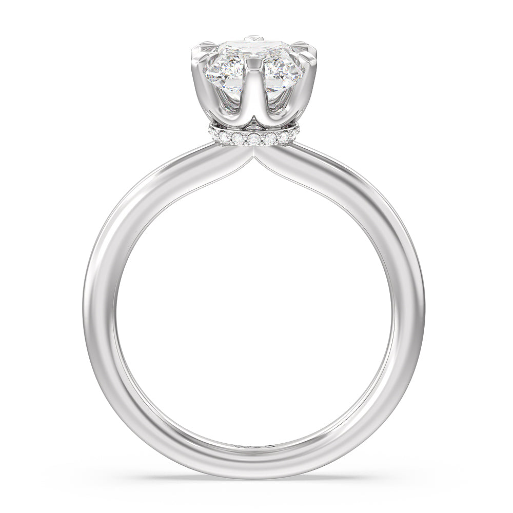 6 Claw Hidden Halo Engagement Ring with Radiant Cut Diamond in 14KT Platinum view 2
