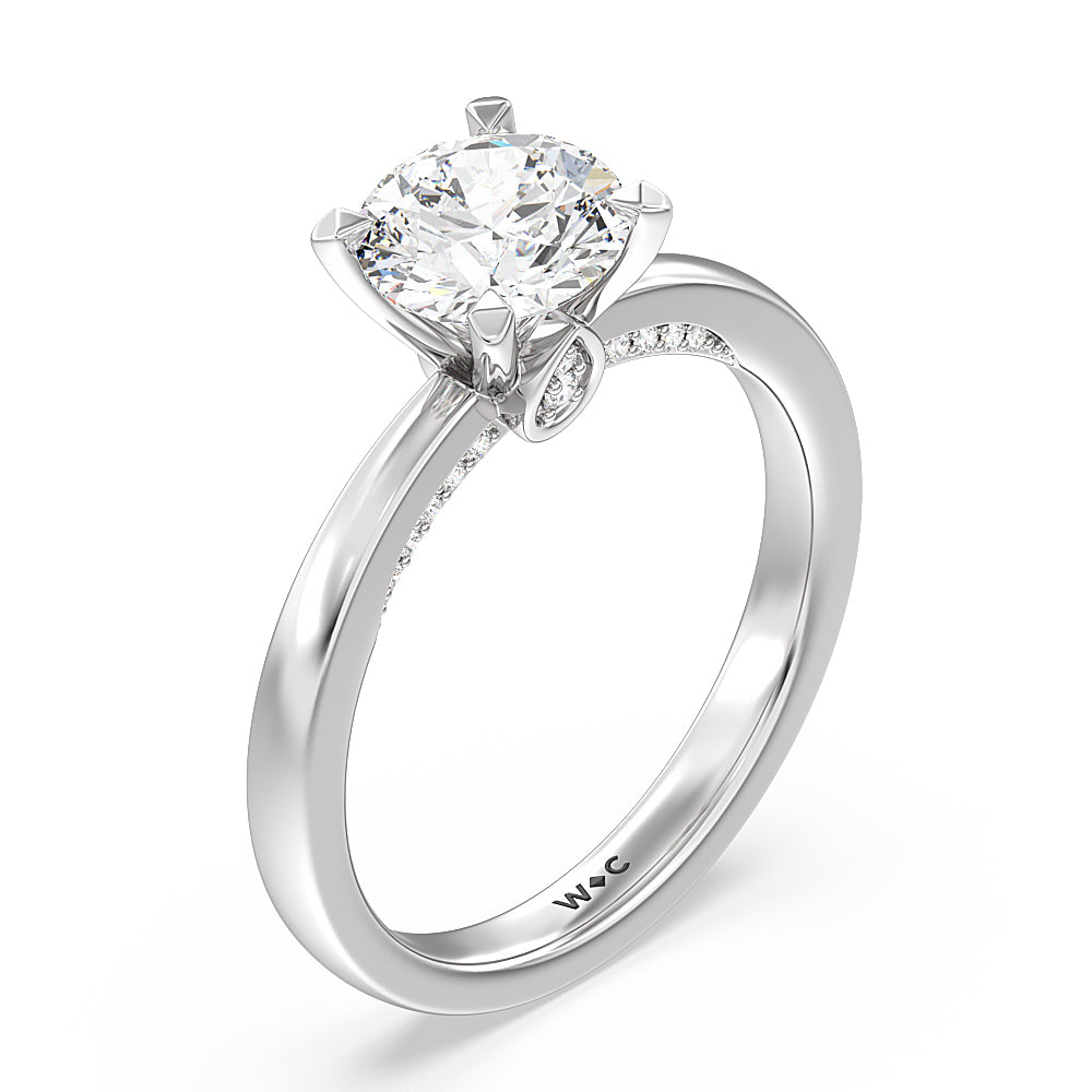 Adorned Hidden Accent Diamond Engagement Ring with Round Cut Diamond in 14KT Platinum view 3
