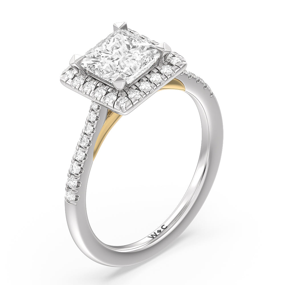 Fishtail Cathedral Halo Engagement Ring with Princess Cut Diamond in 14KT White & Yellow Gold view 3
