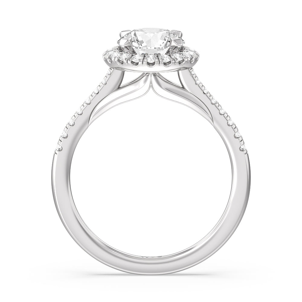 Round Cut Fishtail Cathedral Halo Engagement Ring with Lab Grown Diamond in 14KT Platinum view 2
