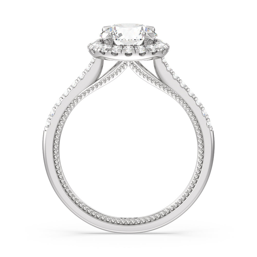 Round Cut Duo Band Halo Engagement Ring with Lab Grown Diamond in 14KT Platinum view 2
