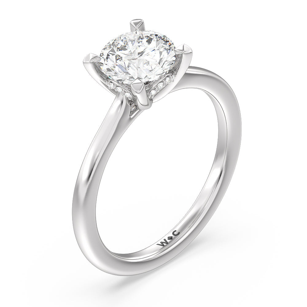Round Cut Fine Line Cathedral Solitaire Engagement Ring with Lab Grown Diamond in 14KT Platinum view 3
